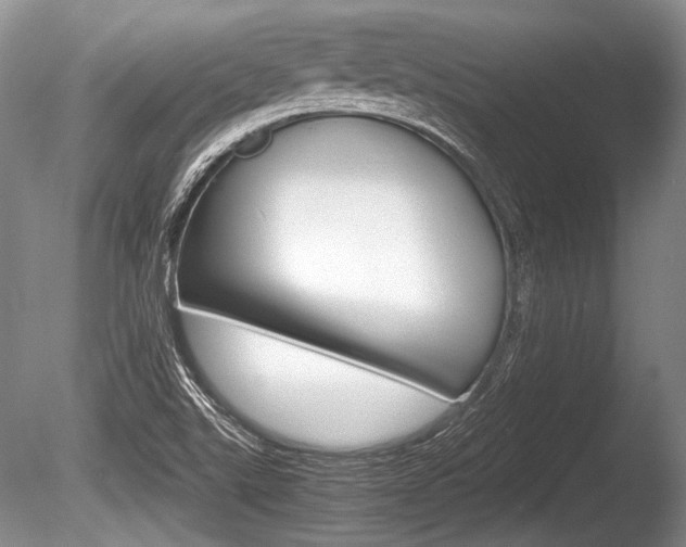 X0000086291507200703300848