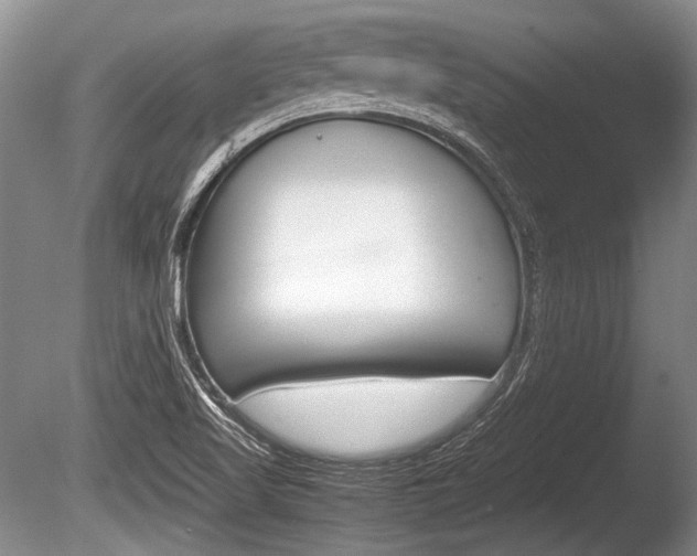 X0000086291509200703300848