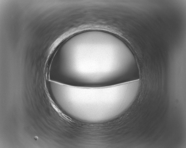 X0000086291511200703300848