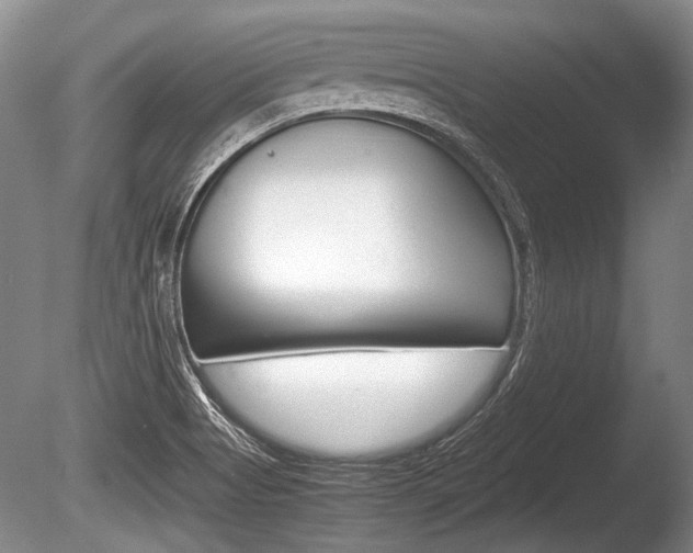 X0000086291513200703300848