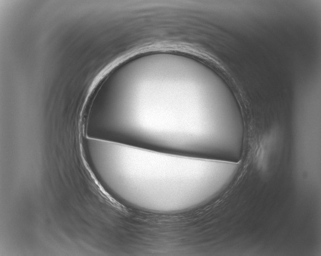 X0000086291517200703300848