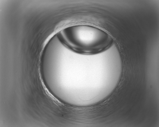 X0000086291518200703300848