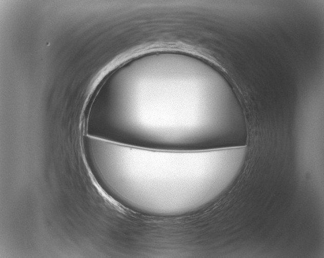 X0000086291519200703300848