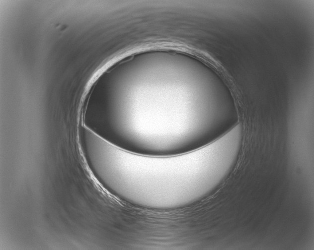 X0000086291520200703300848
