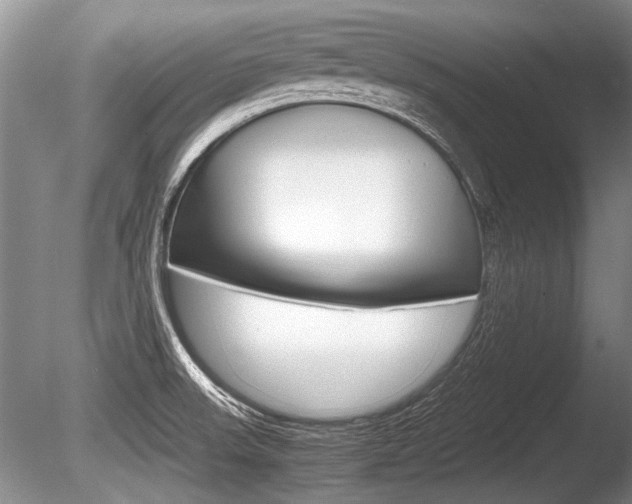 X0000086291523200703300848