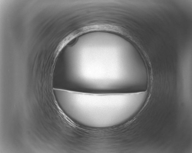 X0000086291529200703300848