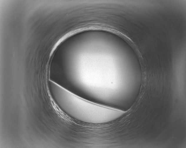 X0000086291530200703300848