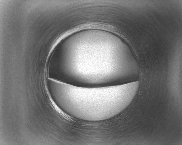 X0000086291531200703300848