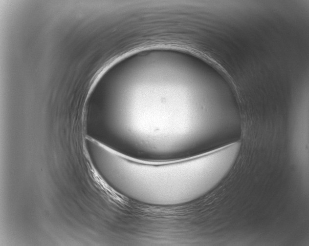 X0000086291532200703300848