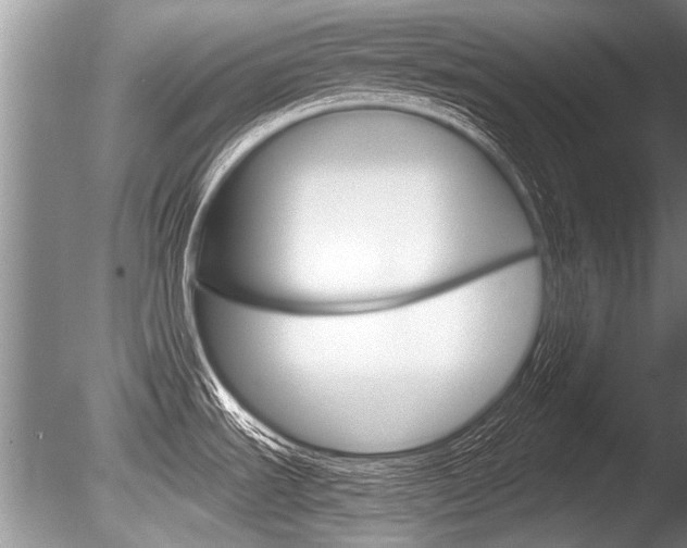 X0000086291535200703300848