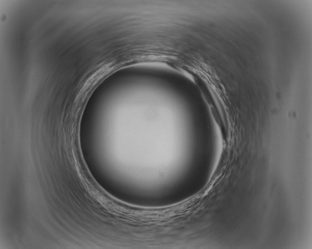 X0000086290001200703301148
