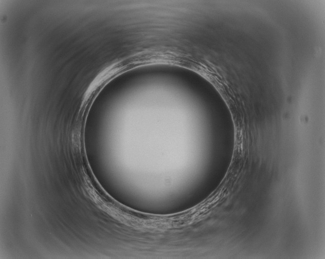 X0000086290004200703301148