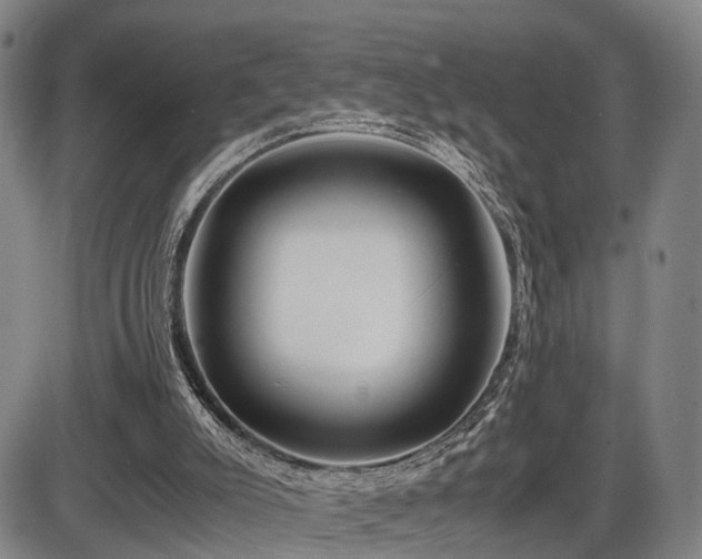 X0000086290007200703301148
