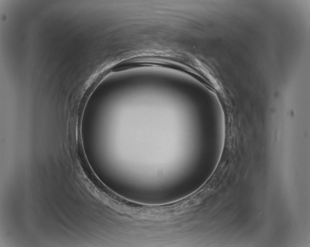 X0000086290011200703301148