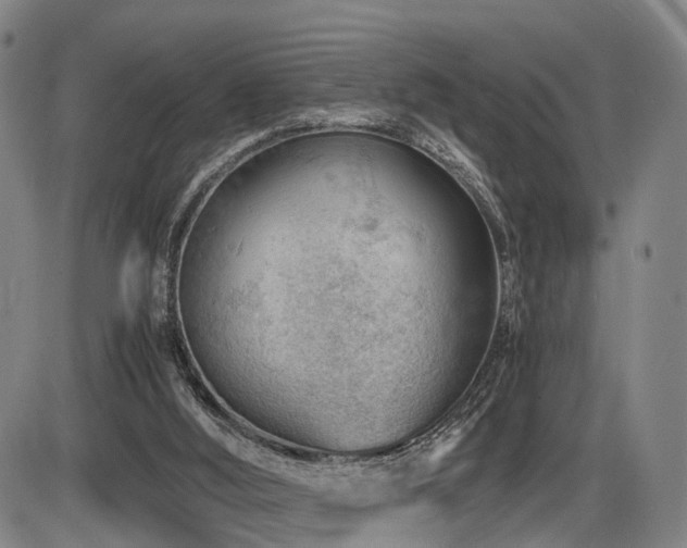 X0000086290012200703301148
