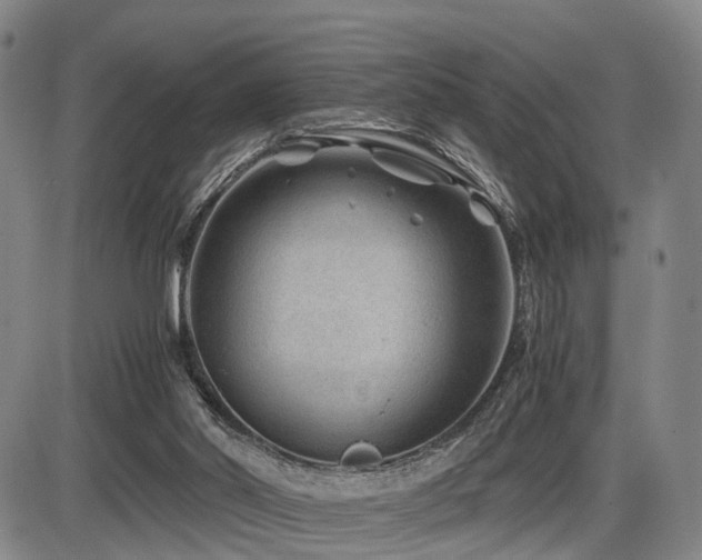 X0000086290014200703301148