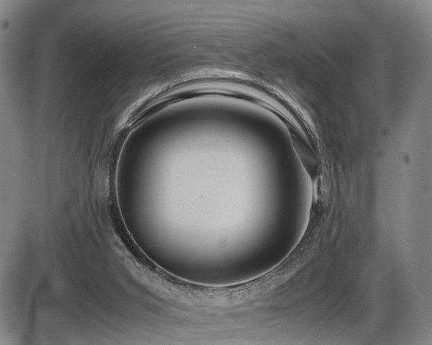 X0000086290015200703301148