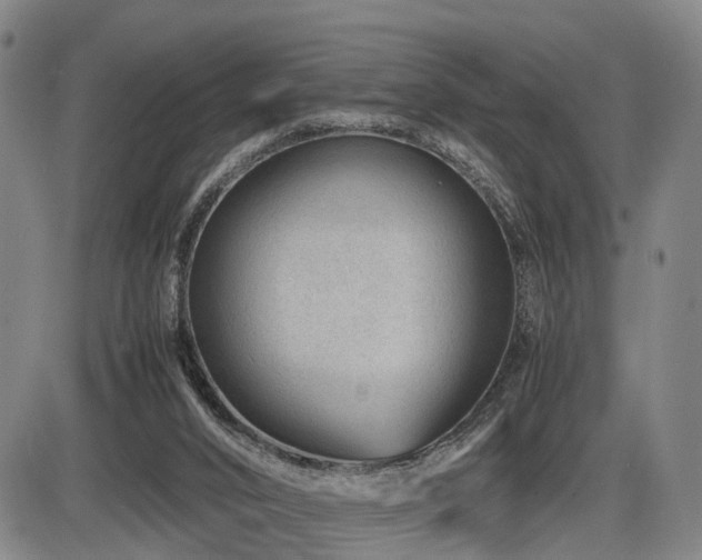 X0000086290016200703301148