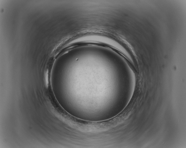 X0000086290020200703301148