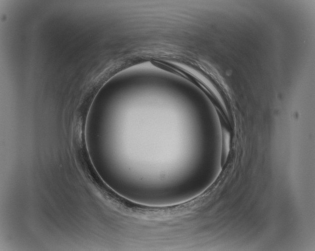 X0000086290021200703301148