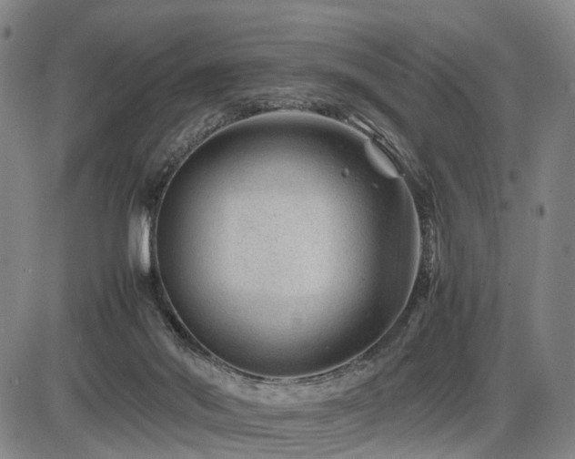 X0000086290022200703301147