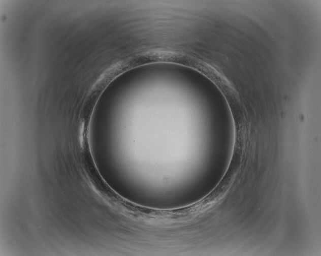 X0000086290024200703301147