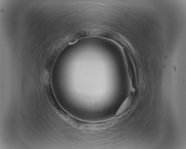 X0000086290025200703301147