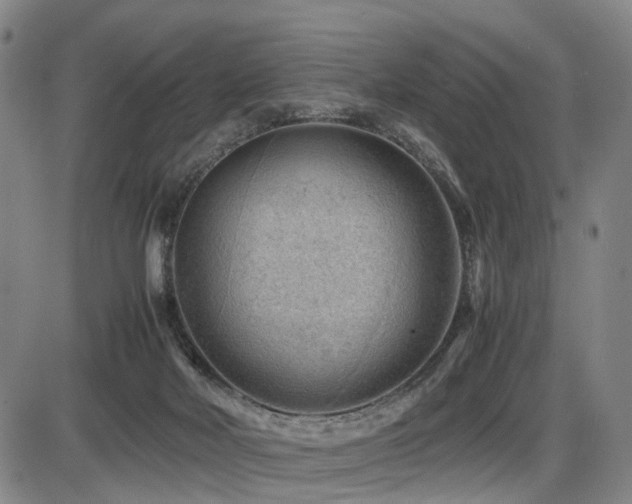 X0000086290026200703301147