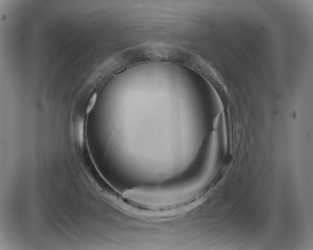 X0000086290027200703301147