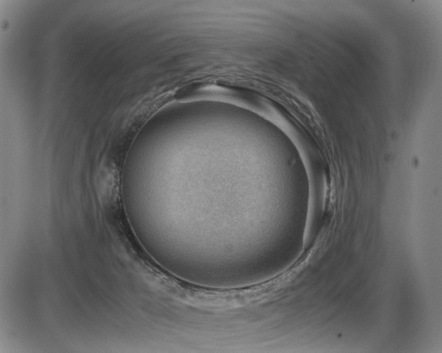 X0000086290029200703301147