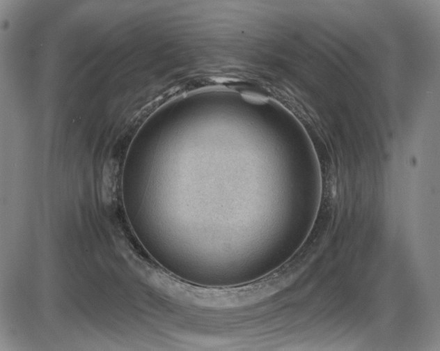 X0000086290030200703301147