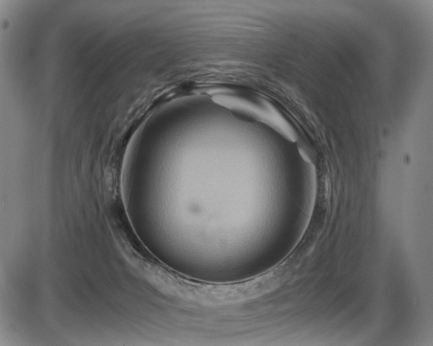 X0000086290031200703301147