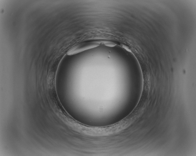 X0000086290034200703301147