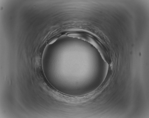 X0000086290035200703301147