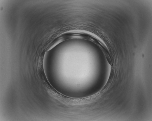 X0000086290037200703301147