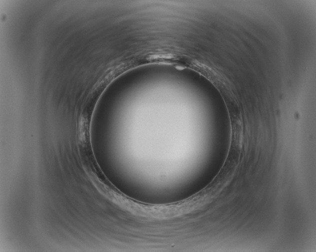 X0000086290038200703301147