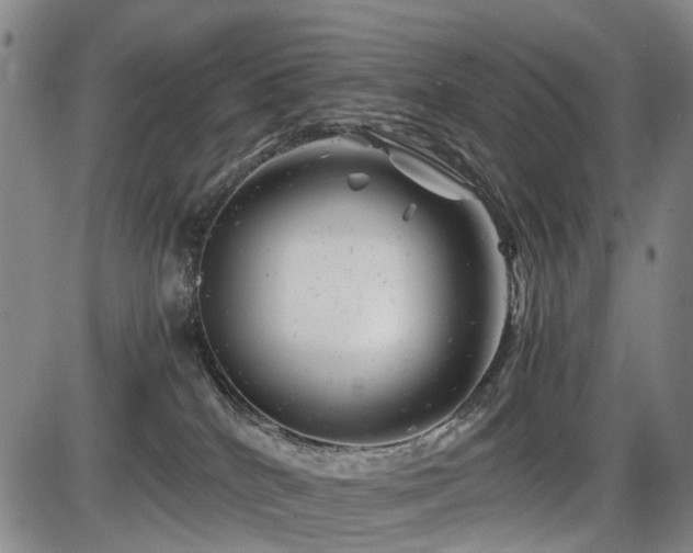 X0000086290040200703301147