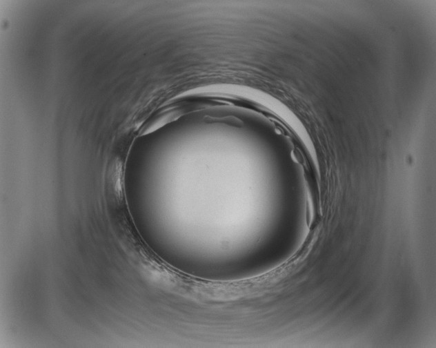 X0000086290041200703301147