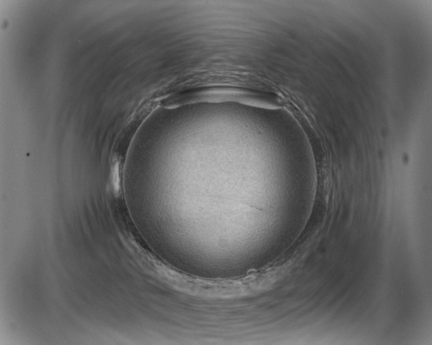 X0000086290042200703301147