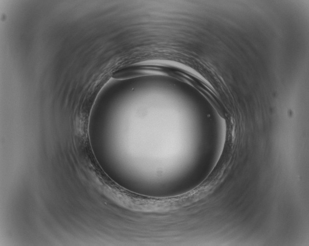 X0000086290044200703301147