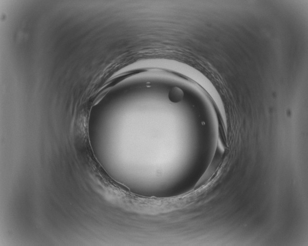 X0000086290045200703301147