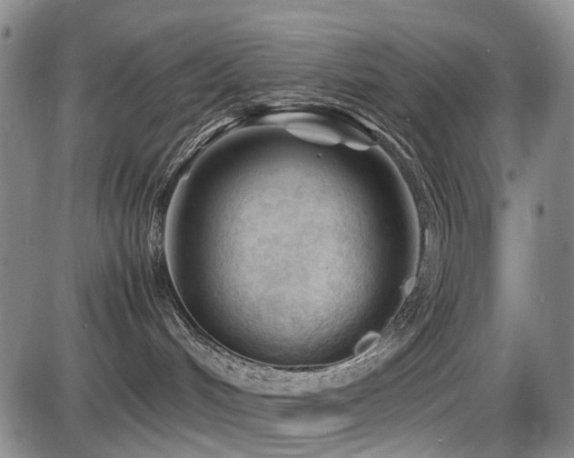 X0000086290048200703301147