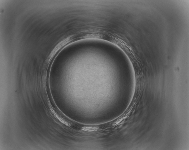 X0000086290051200703301146