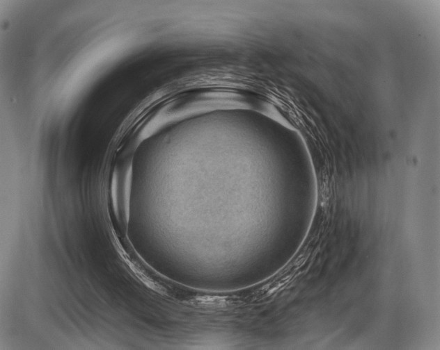 X0000086290052200703301146