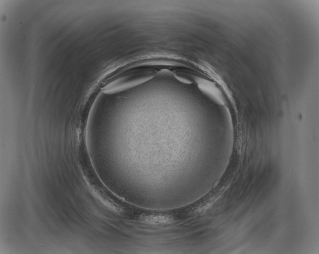 X0000086290063200703301146
