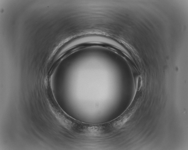 X0000086290064200703301147