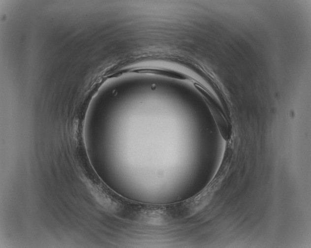 X0000086290066200703301147