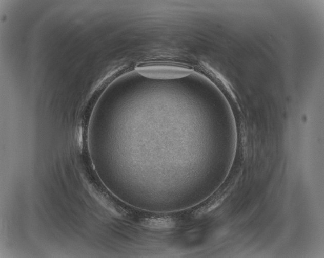 X0000086290067200703301147