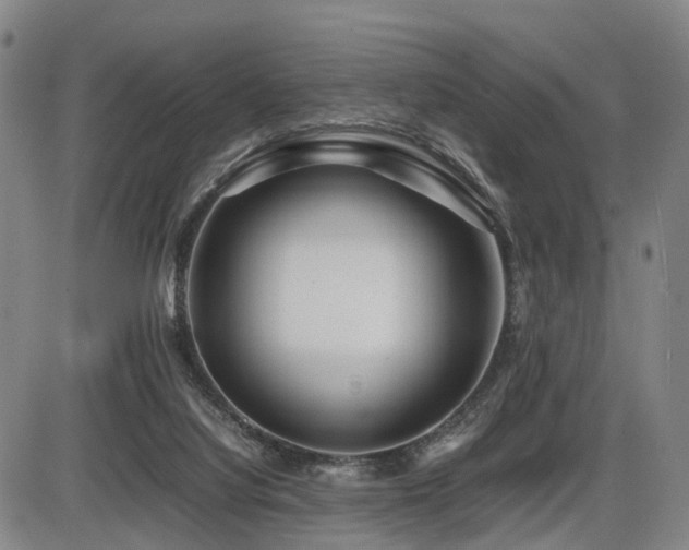 X0000086290068200703301147