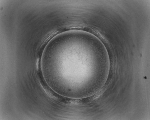 X0000086290070200703301147